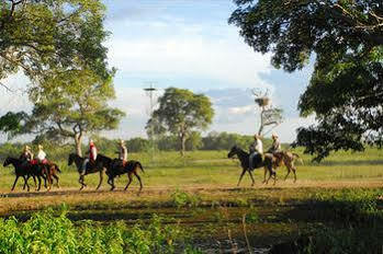 Southwild Pantanal Lodge Pocone Exterior photo